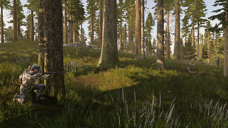 Hunting Simulator - Capture d'écran