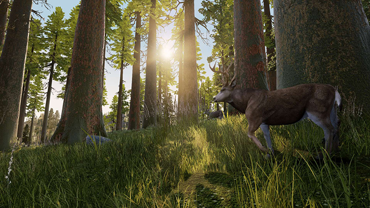 Hunting Simulator - Screenshot#1